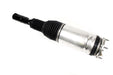 LR087081 - Macpherson Strut  by BWISteering or Suspension Part Land Rover Range Rover Range Rover
