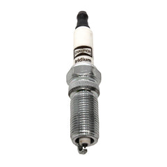 LR123892G - Bougie Iridium