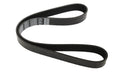 LR135159 - DRIVE BELT  by Dayco Land Rover Range Rover 