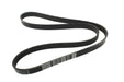 LR141491G - Belt - Accessory Drive  by Dayco Land Rover Range Rover 