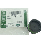 LR183648LR - Plug - Blanking
