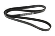 LR184664G - Drive Belt  by Dayco Land Rover Range Rover 