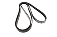 LR190101G - BELT - ACCESSORY DRIVE  by Dayco Land Rover Range Rover 