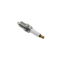 NLP100320G - bougie vonk dubbel platina P38, D2