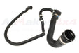 PCH001110 - hose top L322 M62 B44 4.4V8 petrol Cooling or Heating Part Land Rover Range Rover Range Rover