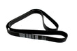 PQS000100D - RR Alternator Belt and 2,8 Tgv 1629 Long - L322  by DaycoElectrical Part Land Rover Range Rover Range Rover
