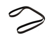 PQS101272LD - DRIVE BELT  by DAYCO Land Rover Range Rover 