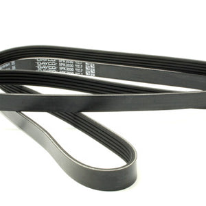 PQS101300LD - DRIVE BELT - AUXILIARY - POLYVEE