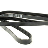 PQS101300LD - Aandrijfriem - Hulp - Poly-V