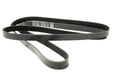 PQS101300LD - Drive Belt - Auxiliary - Polyvee  by Dayco Land Rover Range Rover 