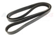 PQS500081D - Drive Belt  by Dayco Land Rover Range Rover 