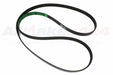 PQS500081 - Drive Belt  by Allmakes Land Rover Range Rover 
