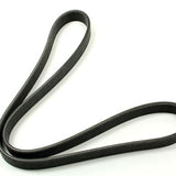 PQS500241D - Drive Belt PR2