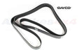 PQS500420 - Drive Belt - Auxiliary  by Dayco Land Rover Range Rover 