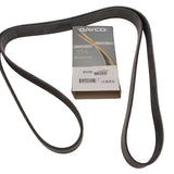 PQS500450G - Riem 3,6 - TDV8
