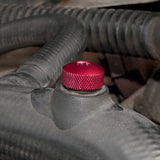 PYP10008RED - Bleed Screw Alloy Red