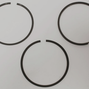 RTC4778020 - Piston ring set 020 OEM AE (per zuiger)