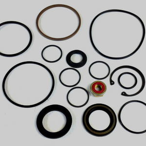RTC5071 - kit seal pwr. st. box 6-bolt Gemmer