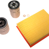 SKT6007 - 300TDI service kit D1 RRC vervanging