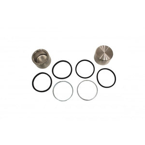 STC1281G - Kit rear caliper pistons and seals OEM AP