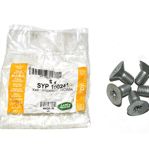 SYP100241LR - SCREW