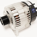 YLE10113G - Dynamo - 300TDi 100A
