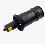 REB101740LR - Air Spring